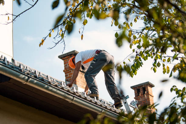 Best Best Roofing Contractors  in Huntland, TN
