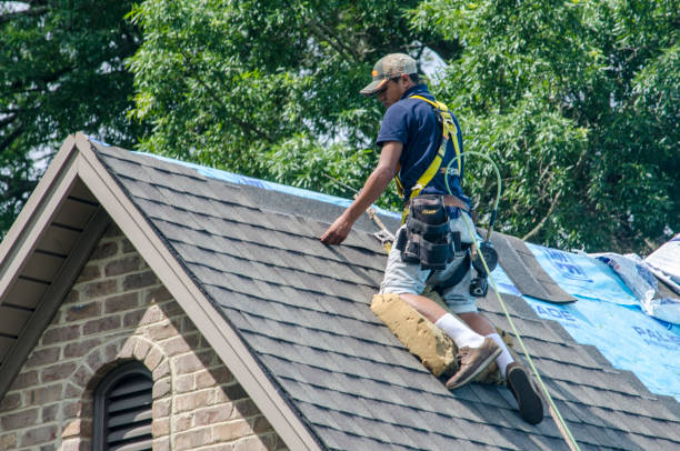 Best Roof Repair Services  in Huntland, TN